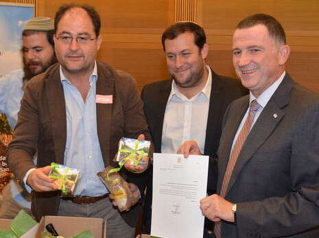 צילום: מאיר ברכיה צילום: מאיר ברכיה