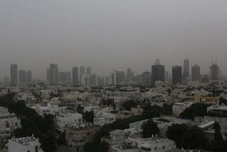 צילום: מרים אלסטר, פלאש 90 צילום: מרים אלסטר, פלאש 90