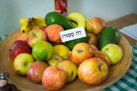 אריק סולטן אריק סולטן