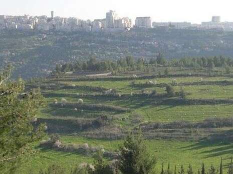 צילום: אלכס גייפן צילום: אלכס גייפן