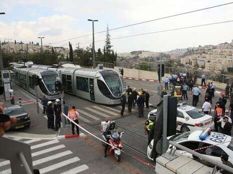 צילום: מרים צחי צילום: מרים צחי