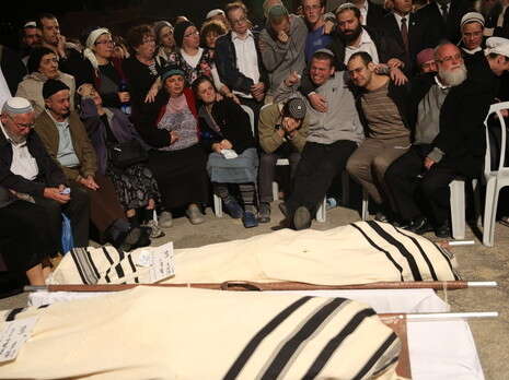 צילום: מירי צחי צילום: מירי צחי