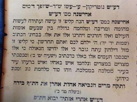 צילום צילום