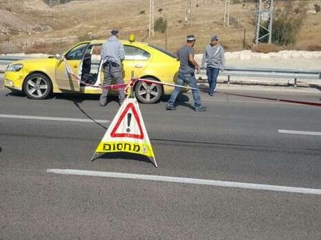 צילום: ע.שאול צילום: ע.שאול