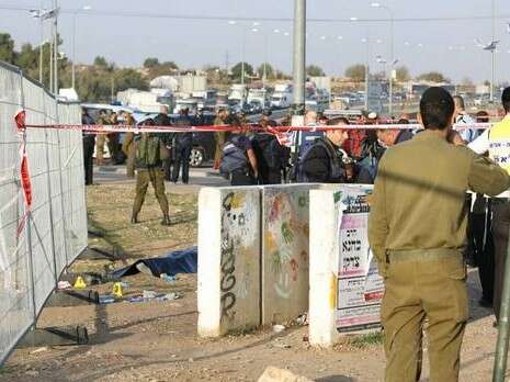 צילום: הלל מאיר/TPS צילום: הלל מאיר/TPS