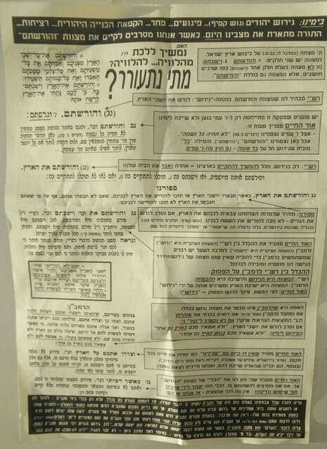 צילום: אמרי סדן צילום: אמרי סדן
