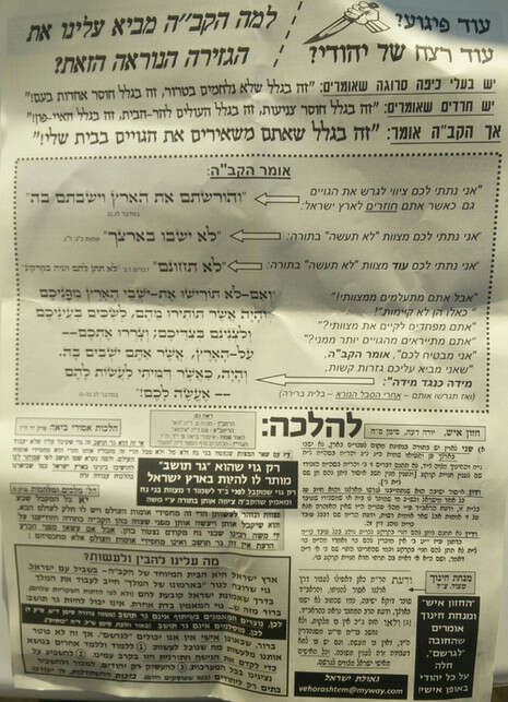 צילום: אמרי סדן צילום: אמרי סדן