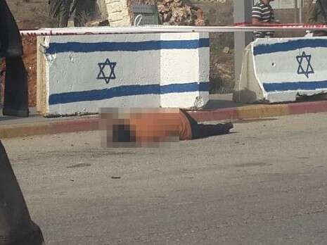 צילום: שלום צובירי/TPS צילום: שלום צובירי/TPS