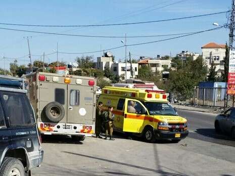 צילום: הצלה יו''ש צילום: הצלה יו''ש