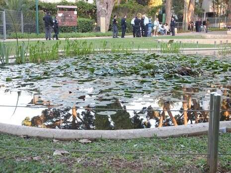 צילום: עמי שומן צילום: עמי שומן