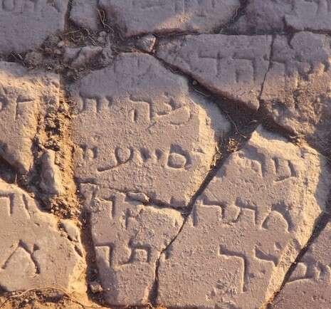 צילום: ג'ני מונרו (Jennifer Munro) צילום: ג'ני מונרו (Jennifer Munro)