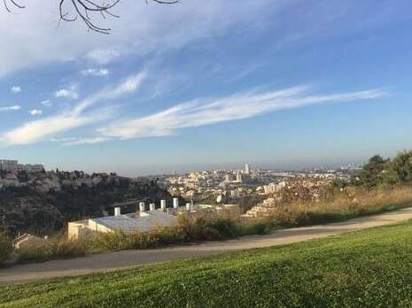 צילום: ינון בן שושן צילום: ינון בן שושן