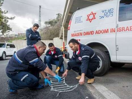צילום: אייל מרגולין - ג?יני צילום: אייל מרגולין - ג?יני