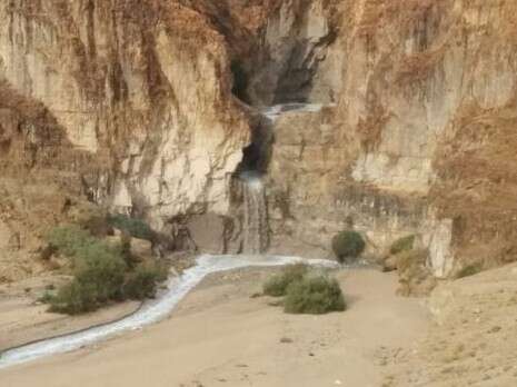 צילום: הודיה כריש חזוני צילום: הודיה כריש חזוני