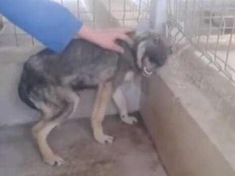 �����: ����� ��� 