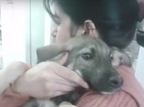 �����: ����� ��� 