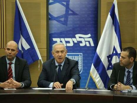צילום: מירי צחי צילום: מירי צחי