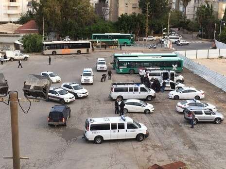 צילום: צוות דרור צילום: צוות דרור