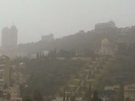 צילום: הרצי שפירא צילום: הרצי שפירא