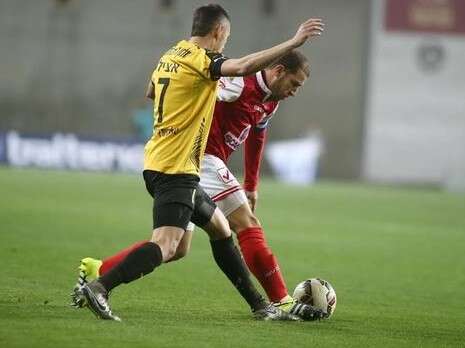 צילום: אלן שיבר צילום: אלן שיבר