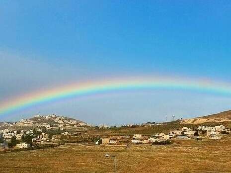צילום: כנרת טמפלמן צילום: כנרת טמפלמן