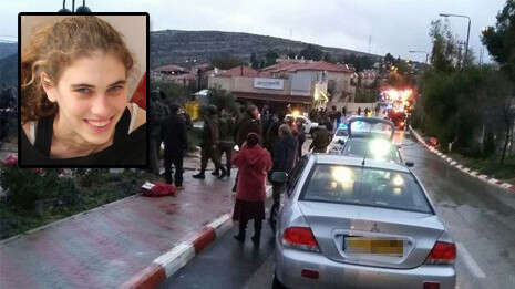 צילום: TPS צילום: TPS