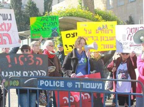 צילום: מגמה ירוקה צילום: מגמה ירוקה