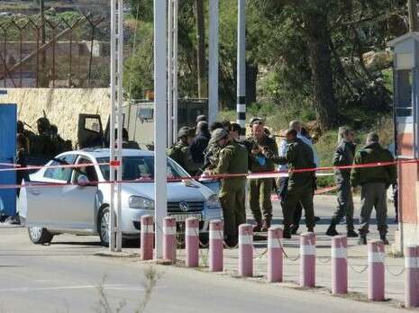 צילום: TPS צילום: TPS