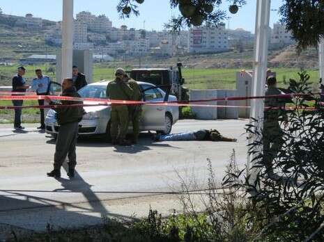 צילום: TPS צילום: TPS