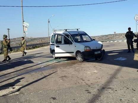 צילום: שלום צובירי/TPS צילום: שלום צובירי/TPS