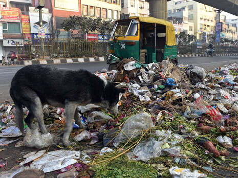 �����: AFP