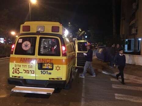 צילום: מישל דוט קום צילום: מישל דוט קום