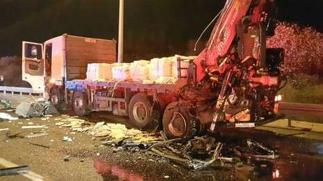 צילום: אורי דיוויס, דוברות איחוד הצלה צילום: אורי דיוויס, דוברות איחוד הצלה