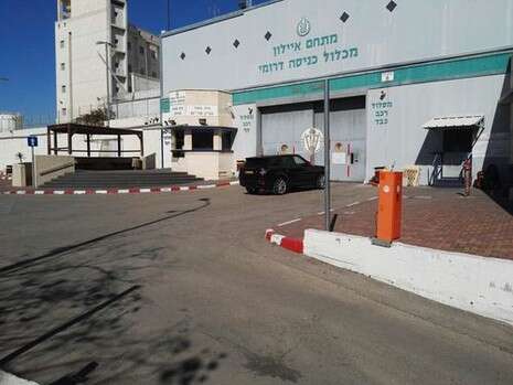 צילום: אבישג שאר ישוב צילום: אבישג שאר ישוב