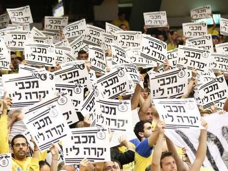 צילום: דני מרון צילום: דני מרון