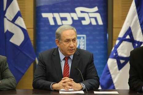 צילום: דודו ועקנין צילום: דודו ועקנין