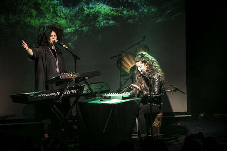 צילום: gaya's music photos צילום: gaya's music photos