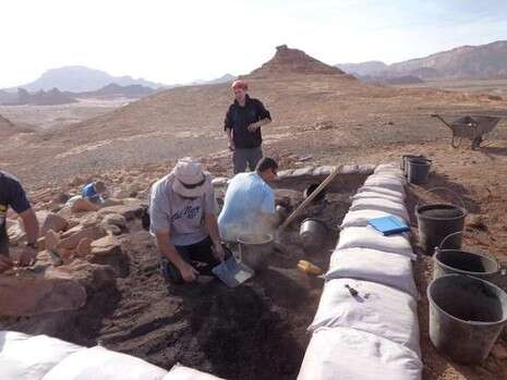 צילום: Central Timna Valley Project TAU צילום: Central Timna Valley Project TAU