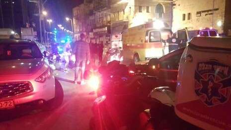 צילום: איחוד הצלה כרמל צילום: איחוד הצלה כרמל