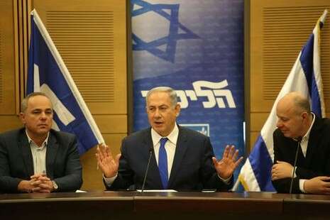 צילום: מירי צחי צילום: מירי צחי
