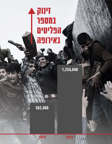 צילום: AFP צילום: AFP