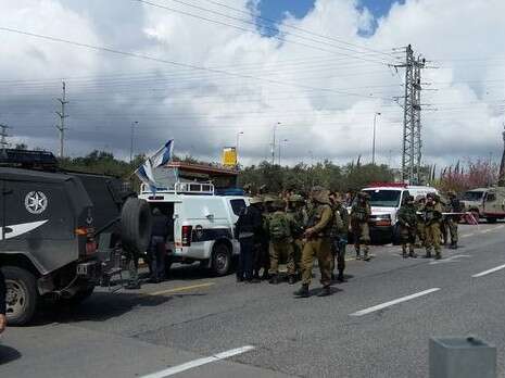 צילום: יפעת אריאלי צילום: יפעת אריאלי