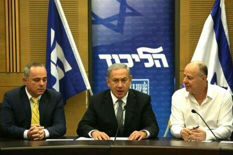 צילום: מירי צחי צילום: מירי צחי