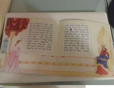 צילום: מיכל פרידלר צילום: מיכל פרידלר