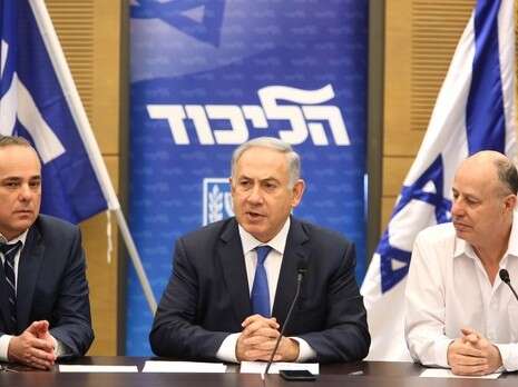 צילום: דודי ועקנין צילום: דודי ועקנין