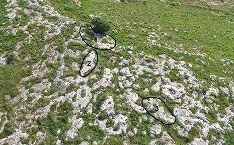 צילום: האוניברסיטה העברית צילום: האוניברסיטה העברית