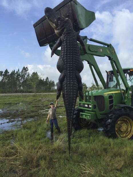 צילום: Outwest Farms Inc צילום: Outwest Farms Inc
