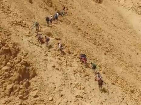 צילום: צילום מסך צילום: צילום מסך