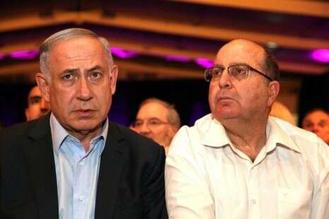 צילום: גדעון מרקוביץ צילום: גדעון מרקוביץ