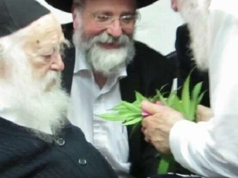 צילום: מגזין ''קנאביס'' צילום: מגזין ''קנאביס''